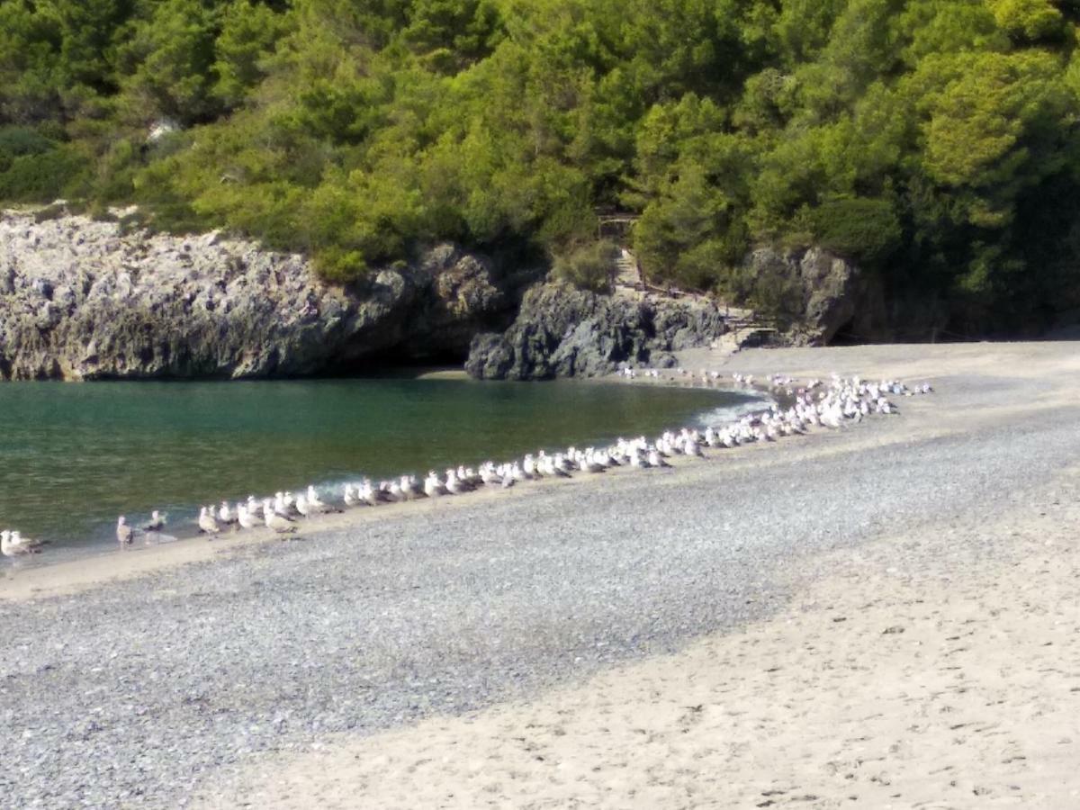 Holiday home Le Di Arconte *