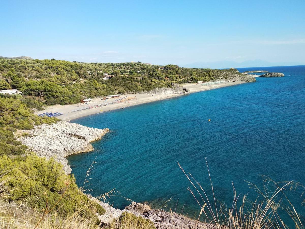 Le Di Arconte Marina di Camerota